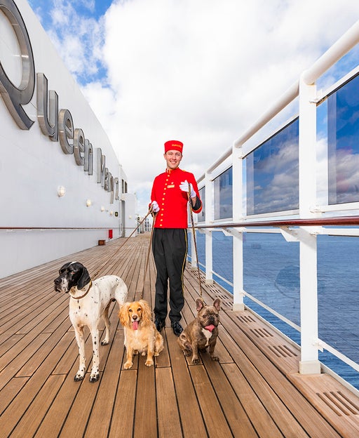 Cruising has gone to the dogs: This voyage will let you bring your canine on a cruise